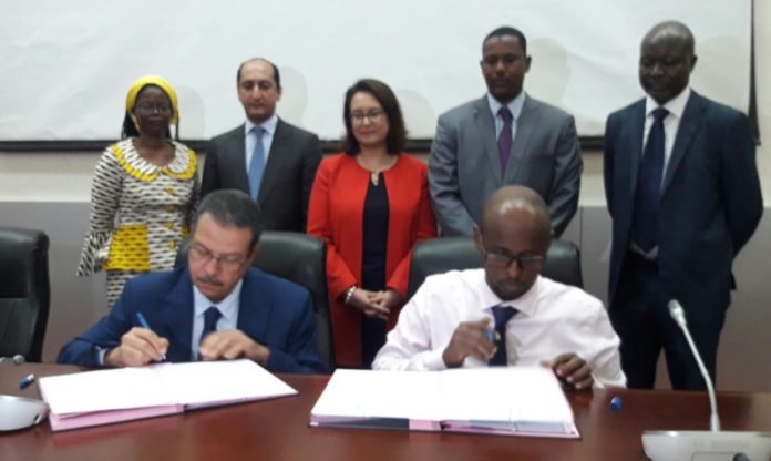 Djibouti Maroc Un modèle de coopération sanitaire