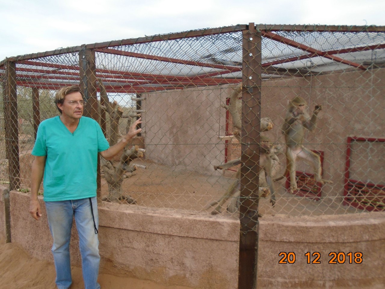 Royaume de Bahreïn/Djibouti : Fin de quarantaine pour 3 babouins réfugiés à Décan