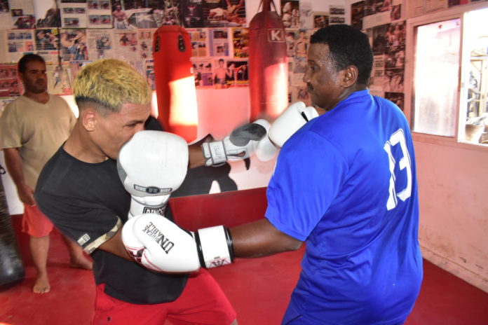 Les balbutiementsde la boxe à Djibouti (2)