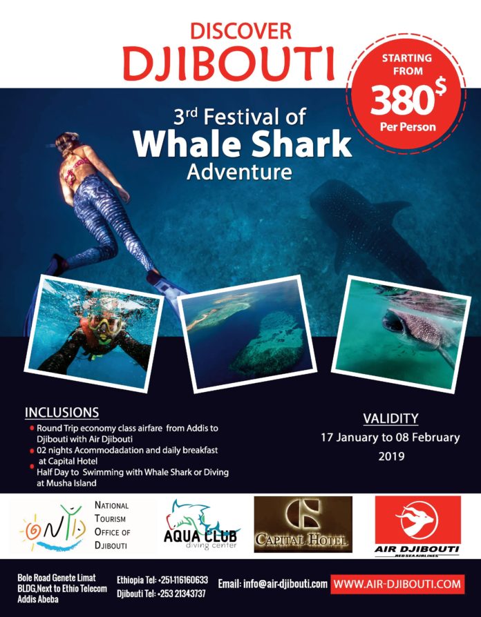 L’ONTD lance le 3ème Festival du Requin-Baleine (1)