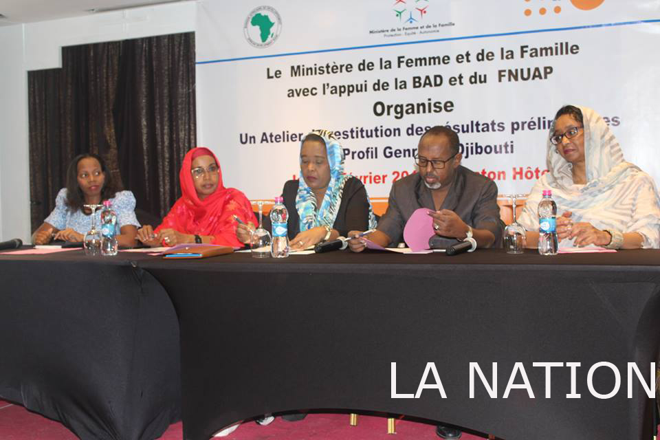 MFF/FNUAP/BAD : Élaborer un profil genre pour pallier à la disparité des sexes
