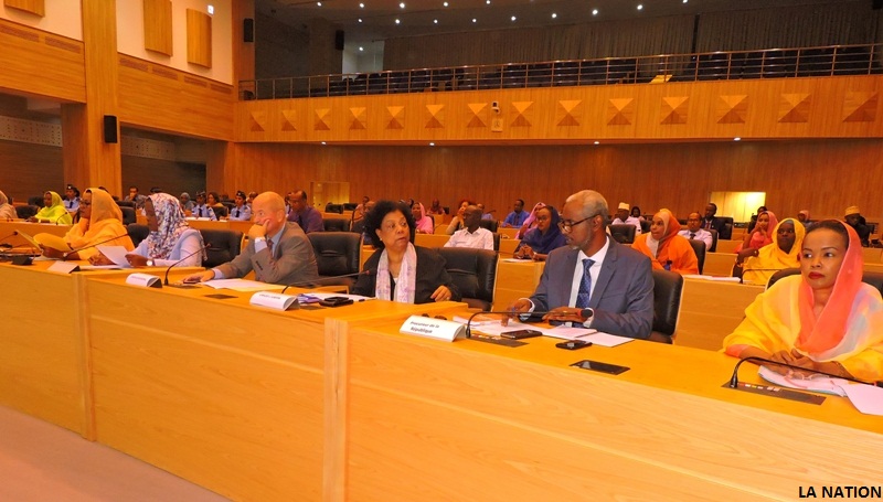 Assemblée nationale Violences faites aux femmes et aux filles : Après la sensibilisation, la pénalisation