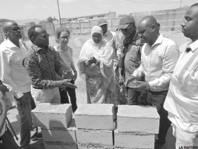 Des ministres et des banquiers internationaux au contact des réalités des habitants d’Ali-Addeh (1)