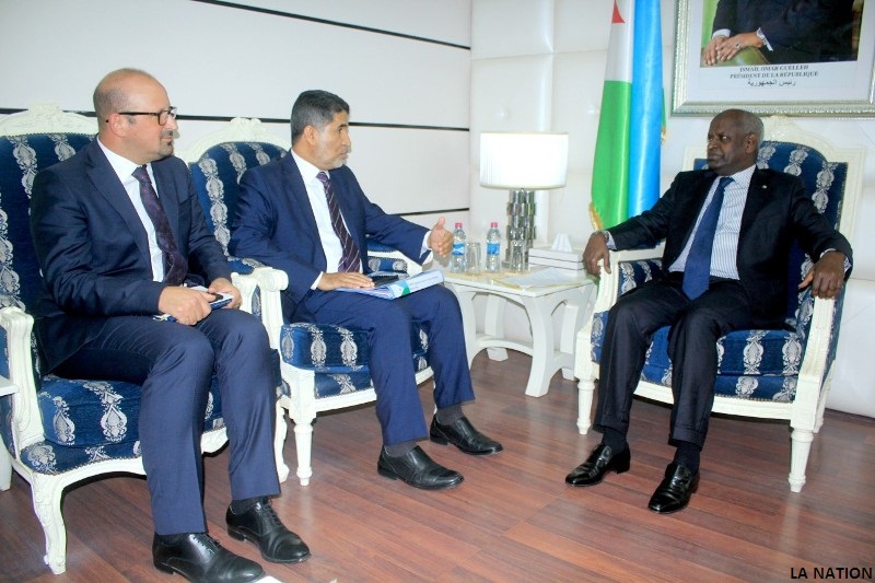 Djibouti / EMRO : Identification des priorités sanitaires Des coudées franches