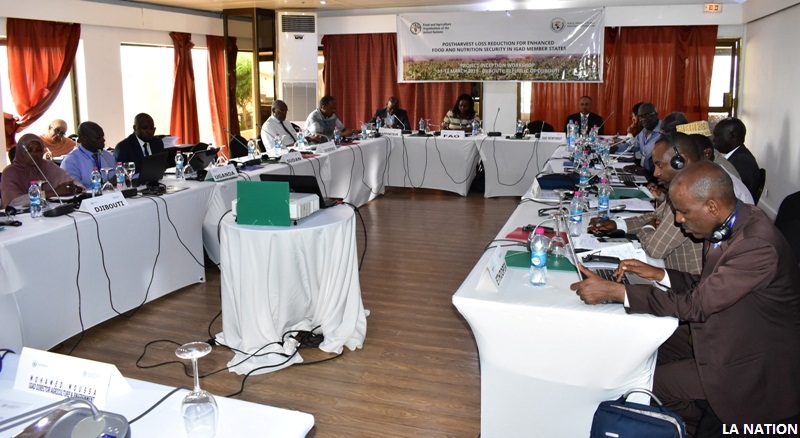 Lutte contre l’insécurité alimentaire : L’IGAD et la FAO font front commun