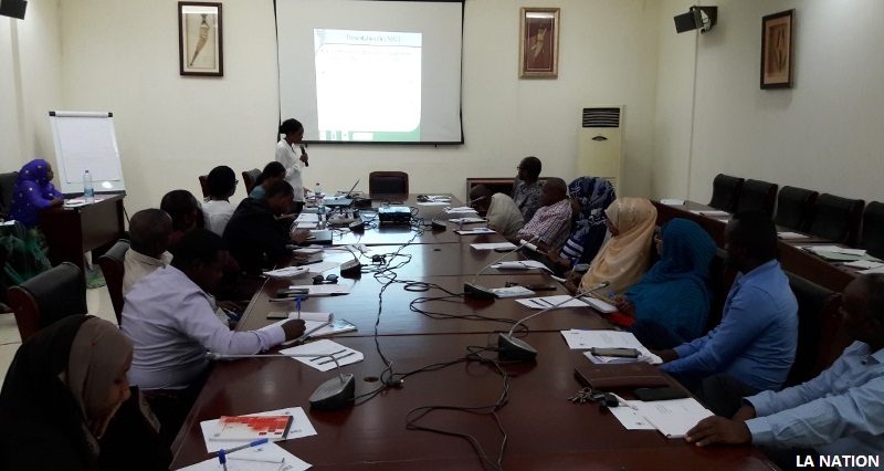 MHUE Comité national directeur sur les changements climatiques (CNDCC) : Priorité au renforcement de capacités