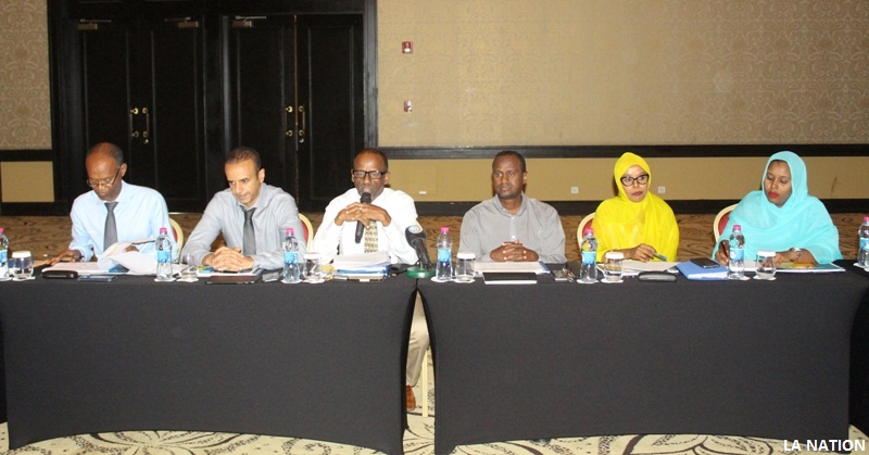 Stratégie nationale de promotion des investissements : État des lieux et recommandations du cabinet de conseil Ernest & Young