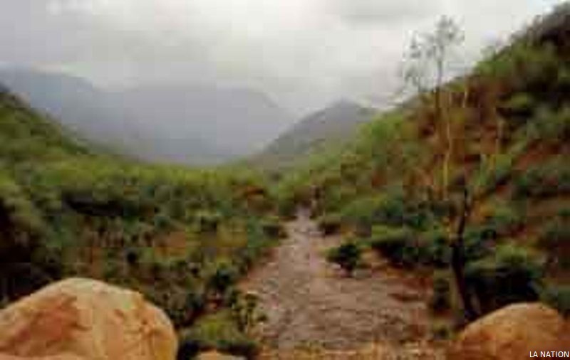 Forêt de Mabla - Un écosystème fragilisé