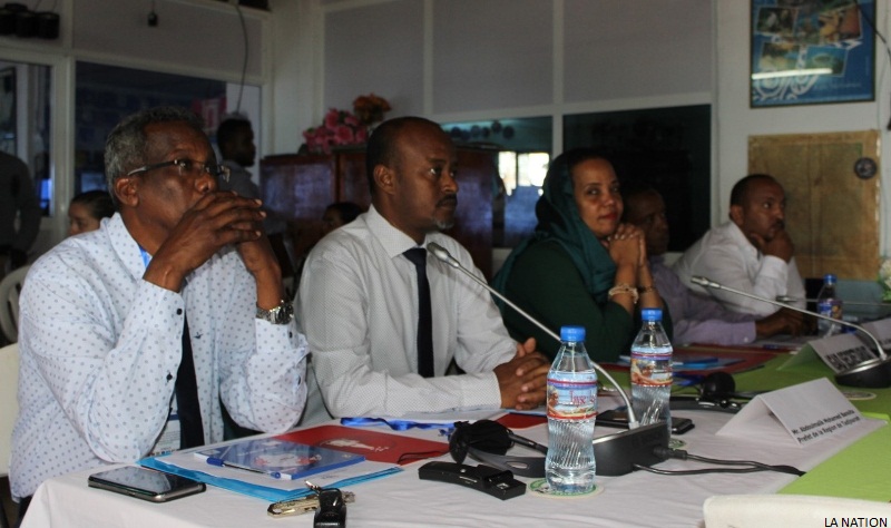 Djibouti : L'IGAD tient des consultations nationales sur les mécanismes de coordination des migrations