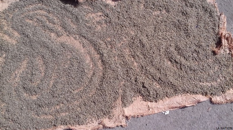 Ramadan : Une surconsommation des céréales