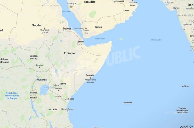 Somalie : 17 membres présumés de Daech tués dans deux frappes américaines