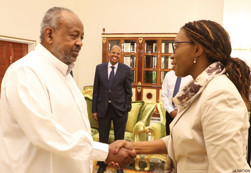 DJIBOUTI / CEA : Poursuite d'un cycle intense de partenariat multilatéral