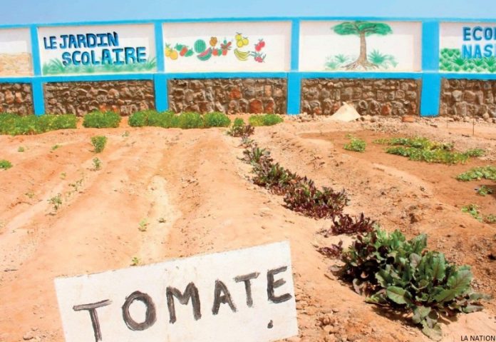 Ecole Rurale Un programme au service de la communauté rurale