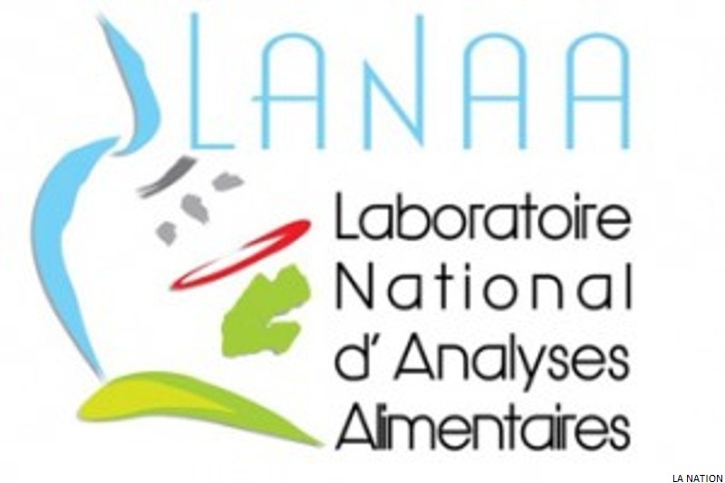 Juin 2009-Juin 2019 : Le LANAA souffle ses dix bougies