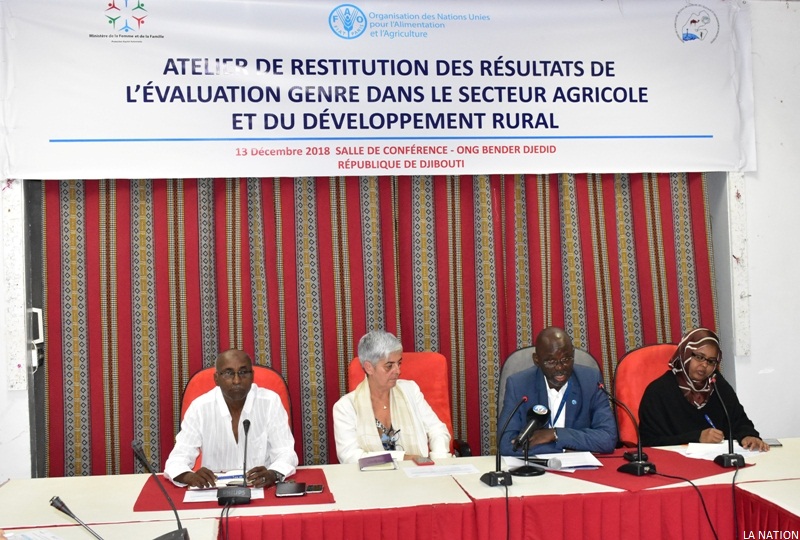 Djibouti Secteur agricole et développement rural : Une large implication des femmes s’impose