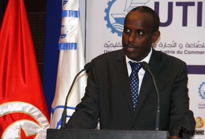 Tribune Radwan Abdillahi Bahdon, ministre de la Communication, chargé des Postes et des Télécommunications (2)