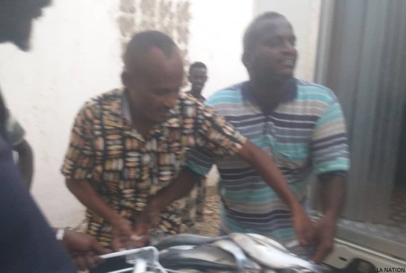 Coopérative des pêcheurs de Khor-Angar : Les pêcheurs offrent plus de 100 KG de poissons à l’hôpital d’Obock
