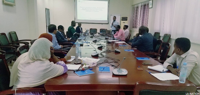 Djibouti : La sécurité alimentaire et nutritionnelle au cœur des discussions