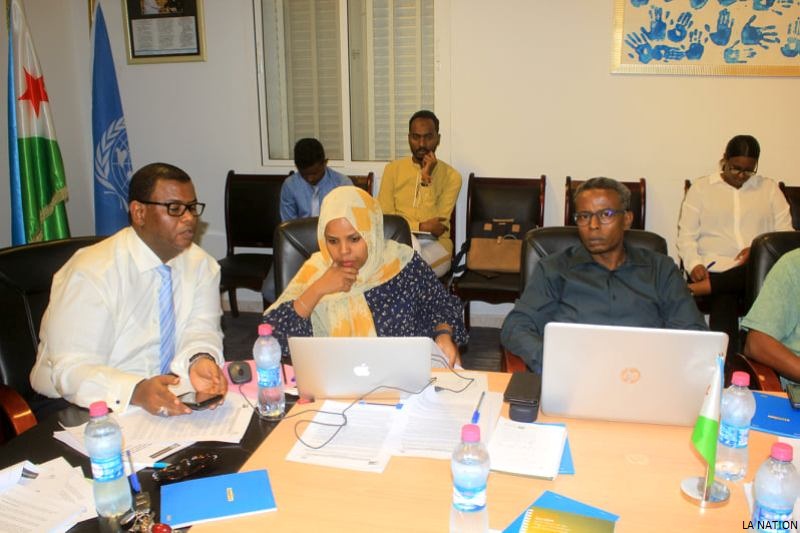 DJIBOUTI/OIM : Pour une meilleure implication de la diaspora dans le développement national