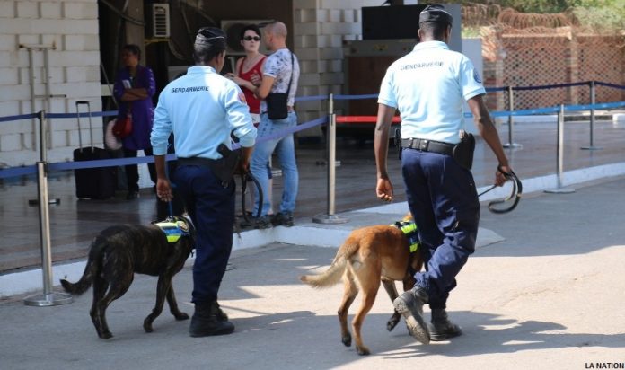 Journée mondiale du meilleur ami de l’homme, le chien