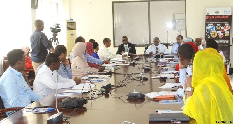 Pour la validation du rapport  de l’évaluation initiale de la Convention de Minamata sur le mercure