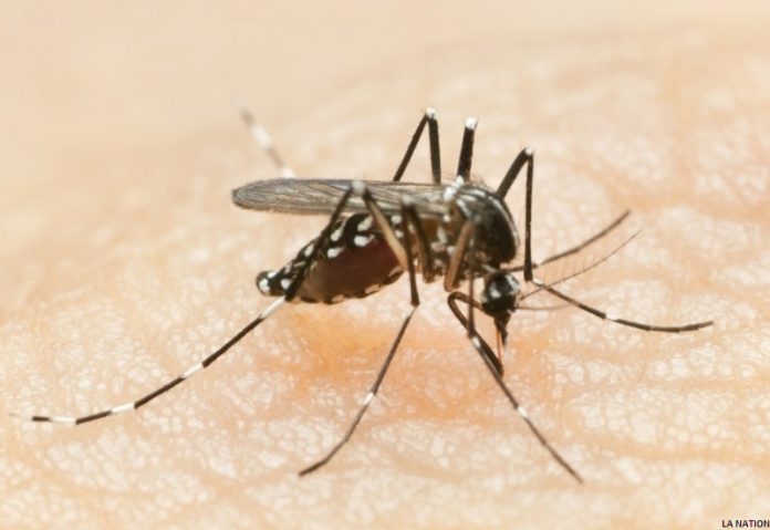 Chikungunya Appel à la vigilance et au respect des mesures d’hygiène et de prévention