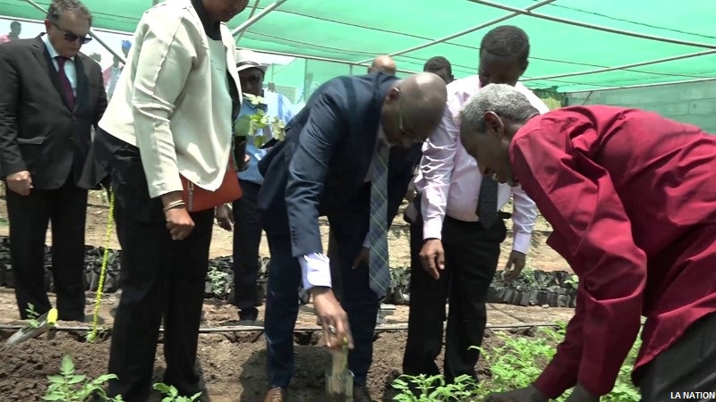 Inauguration de serres agricoles pédagogiques au lycée technique de Dikhil