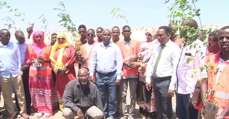 Lancement de la campagne de plantation d’arbres à Dikhil