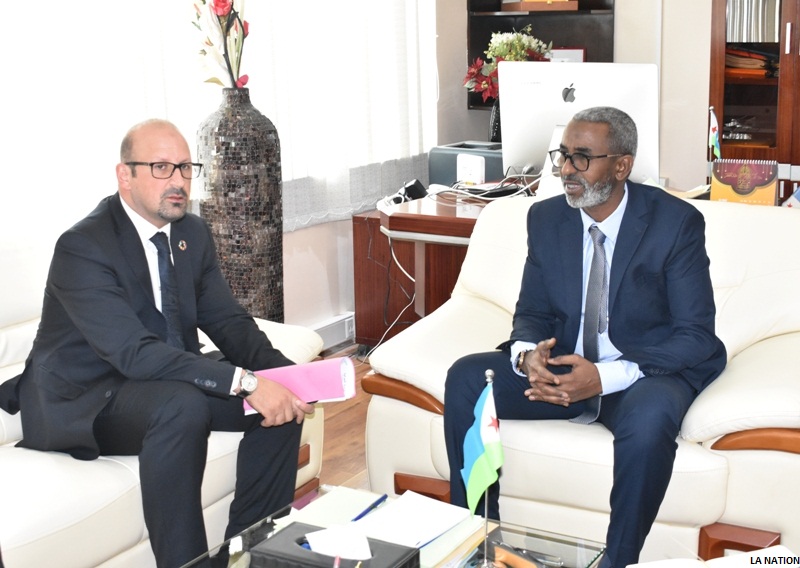 Entrevue entre le ministre du budget et le représentant de l’OMS à Djibouti