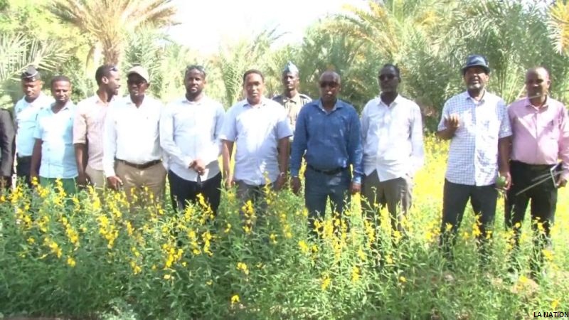 Le préfet de Dikhil prend contact avec les réalités de la population d’Arwo