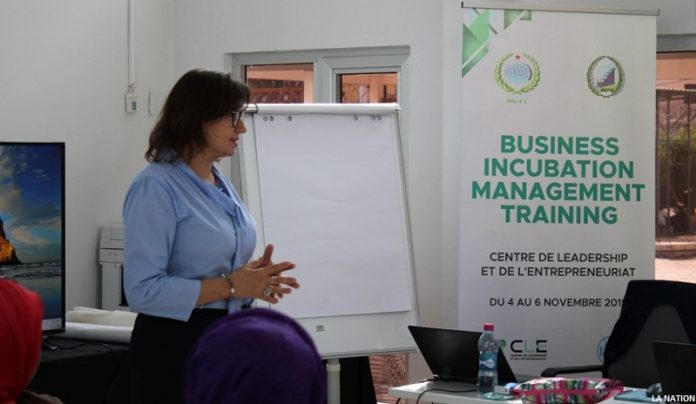 MCPTCLE Formation sur la gestion des structures d’incubations innovantes (1)