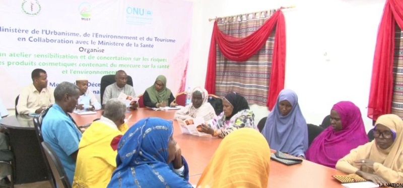 Dikhil : Atelier de concertation et de sensibilisation sur les risques potentiels de l'utilisation des produits cosmétiques contenant du mercure