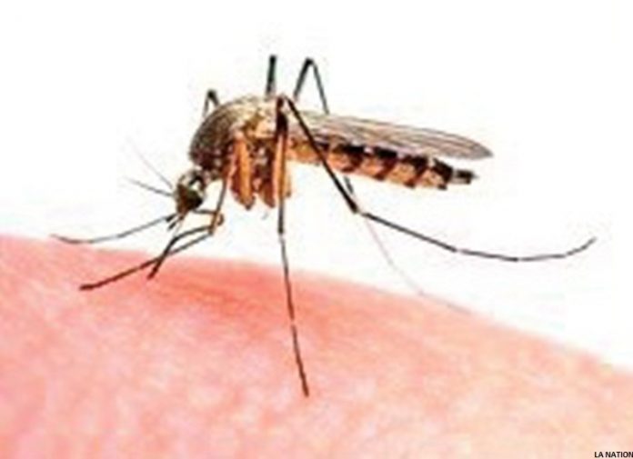 Chikungunya Appel à la vigilance et au respect des mesures d’hygiène et de prévention (1)