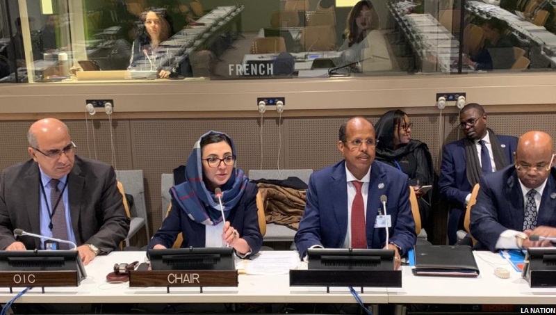 Djibouti lance sa campagne officielle pour son élection en tant que membre non permanent du conseil de sécurité des nations unies