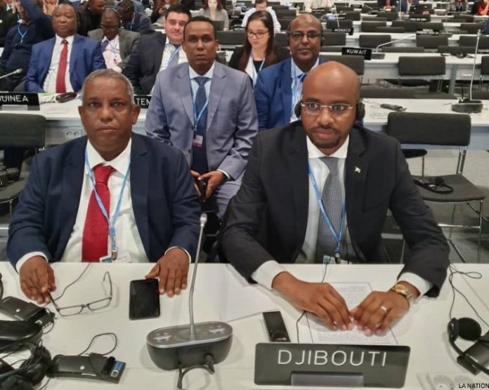 Une délégation conduite par Mohamed Abdoulkader Moussa participe à la COP25 à Madrid