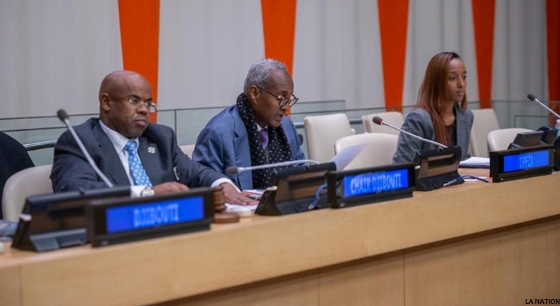 « La croissance économique est indispensable pour promouvoir la paix et la stabilité » Aboubaker Omar Hadi, président de l’APZFD