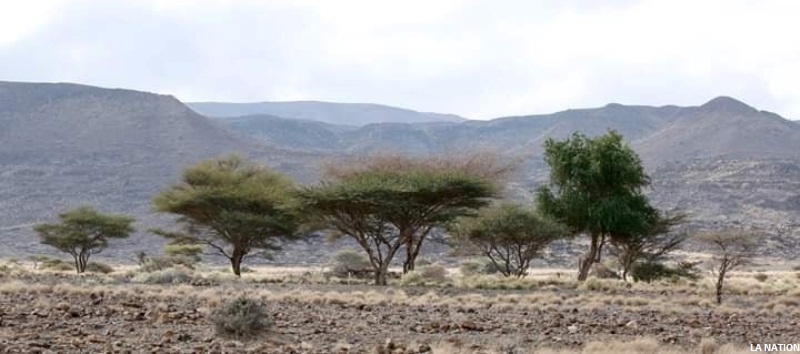 Aire naturelle protégée de Djalelo