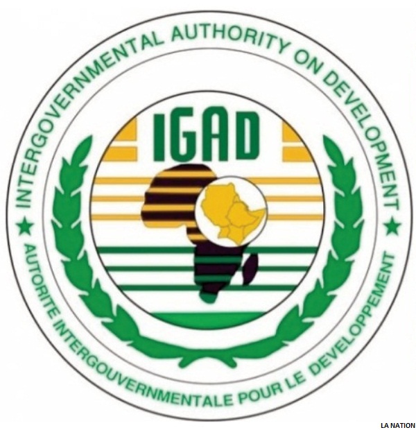 L'IGAD affirme que le renforcement de la paix et du partenariat pour la sécurité est un objectif majeur pour 2020