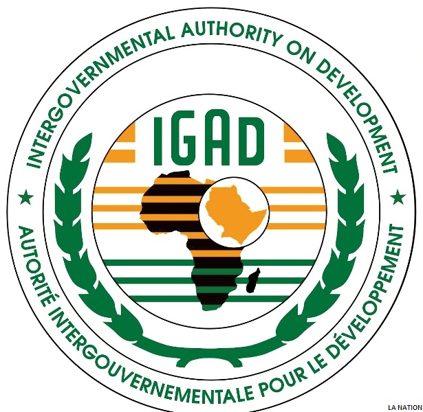 L'IGAD lance des consultations nationales sur la mer Rouge et le golfe d'Aden