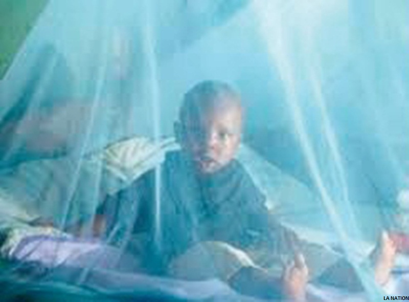 Âllo docteur ! Le paludisme