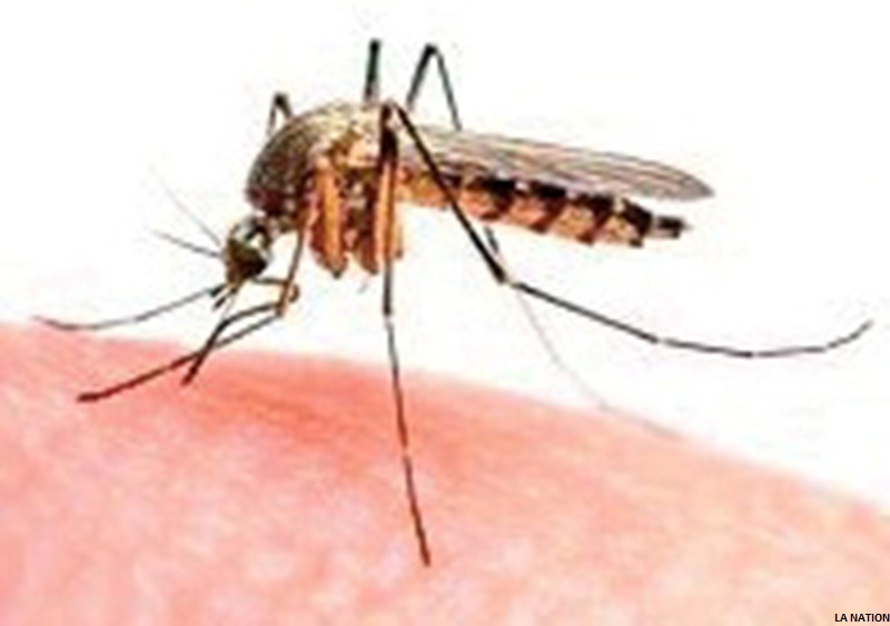 PREVENTION SANTE : Informations utiles d’ordre médical devant la flambée des états fébriles