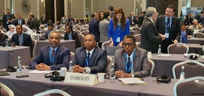 Énergies renouvelables Yonis Ali Guedi prend part à la 10e assemblée générale de l'IRENA à Abu Dhabi