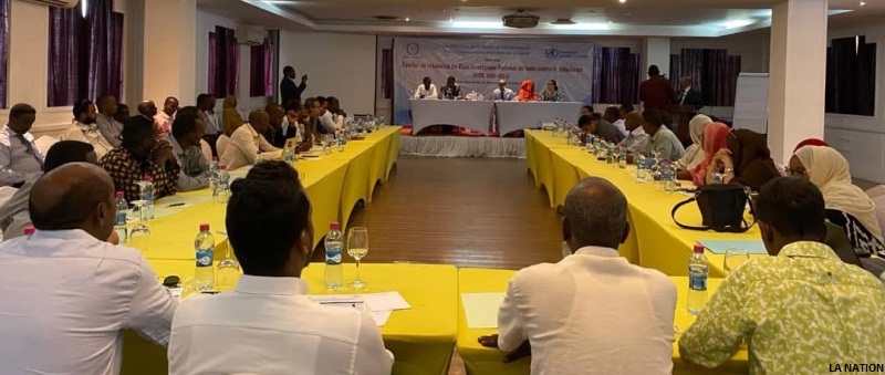 Validation du plan stratégique de lutte contre le paludisme 2020-2024