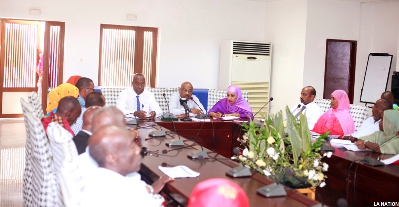 Commune de Boulaos : 1ère session ordinaire 2020 Les élus locaux de la Commune de Boulaos valident leur plan d’action