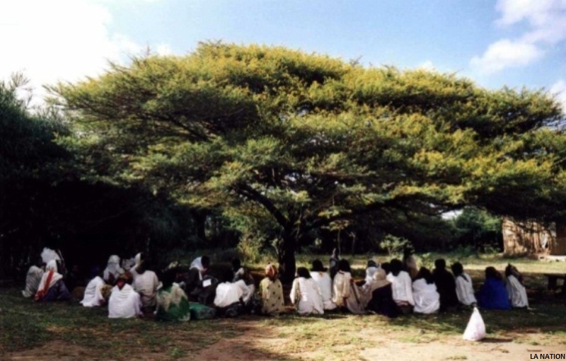 Courier de lecteur : La Sagesse et la Justice de notre société pastorale
