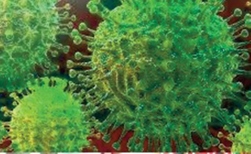 Âllo docteur ! Le coronavirus (suite)