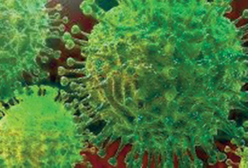 Âllo docteur ! LE CORONAVIRUS