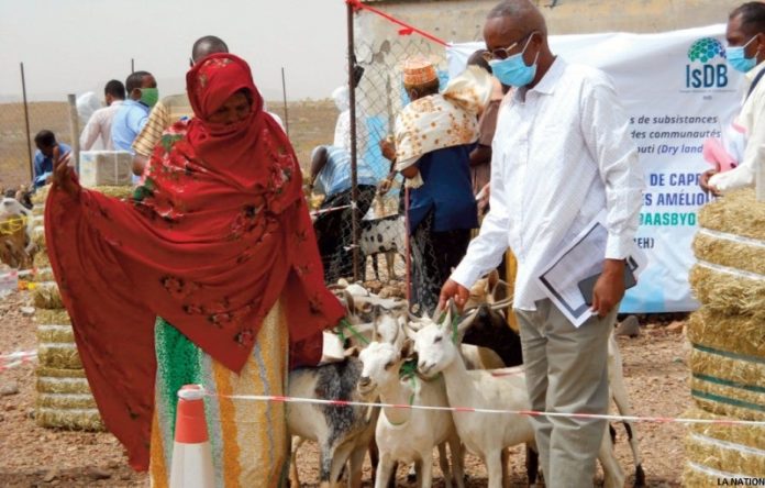 Don de cheptels aux éleveurs de la localité de Faradil (2)