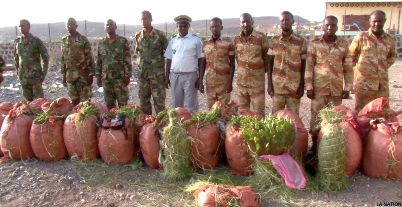 Dikhil : 1080 kg de khat de contrebande saisis à Bondara