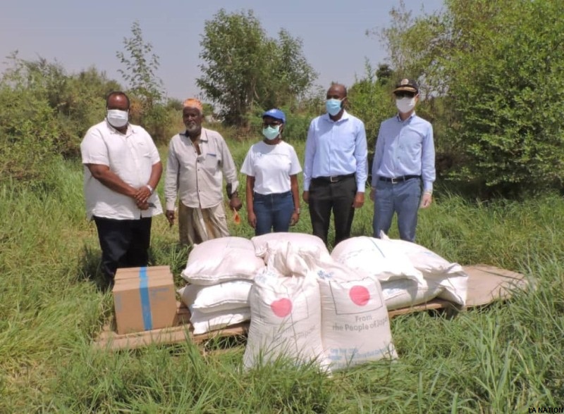 Projet d’urgence de lutte contre l’invasion des criquets pèlerins : L’ambassadeur du Japon et ses partenaires traditionnels en immersion dans les jardins d’Ambouli